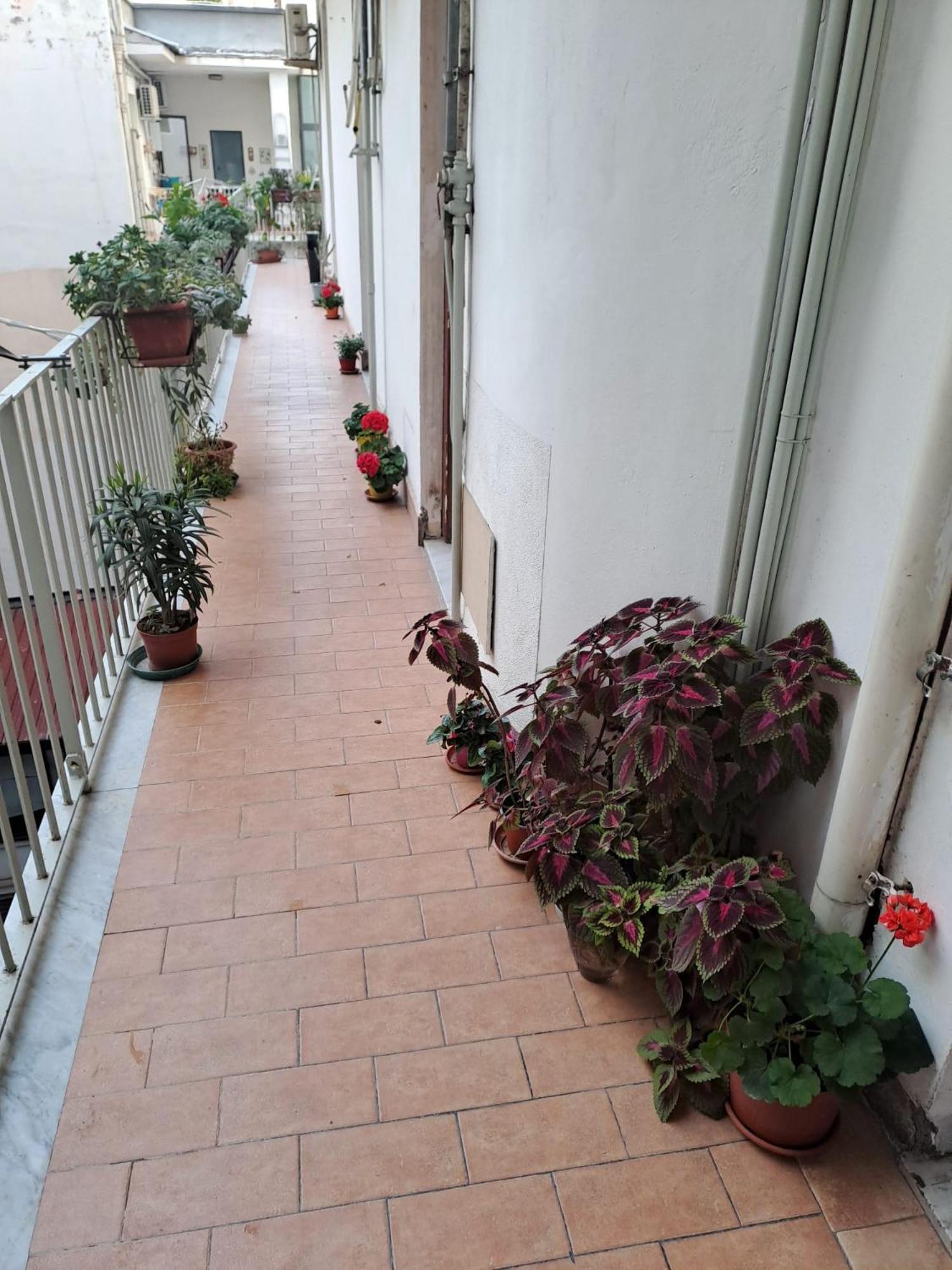 B&B Domus Pina Catania Exterior photo