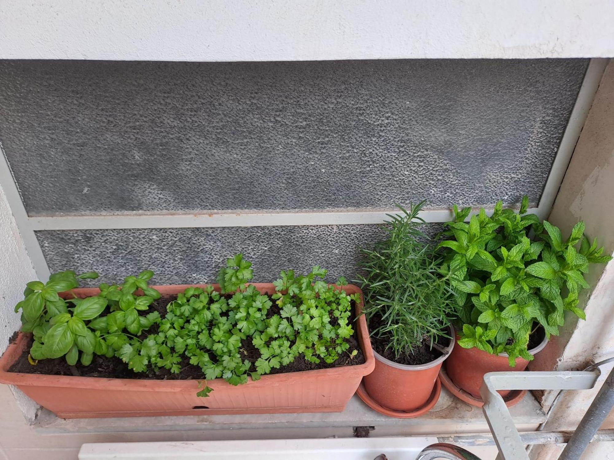 B&B Domus Pina Catania Exterior photo